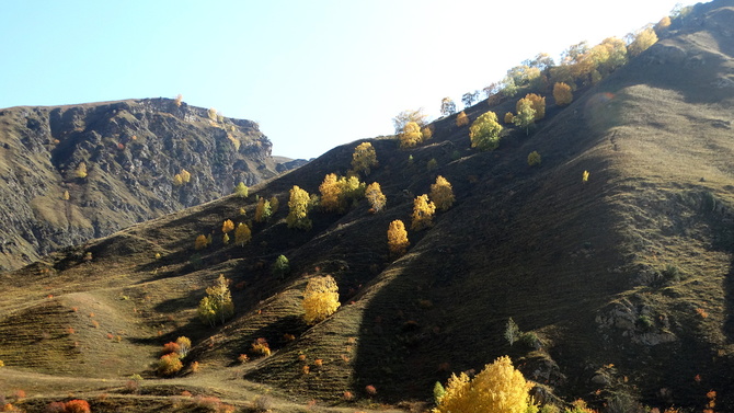 013 Золото Баксана. (Путешествия)