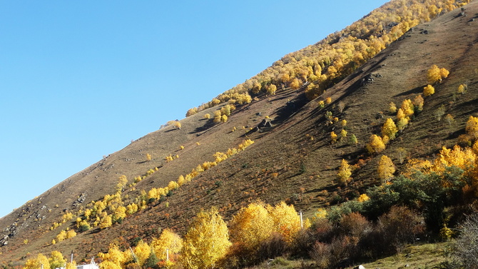 014 Золото Баксана. (Путешествия)