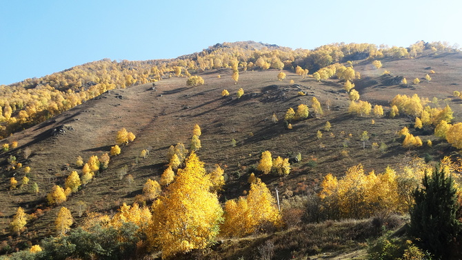 015 Золото Баксана. (Путешествия)