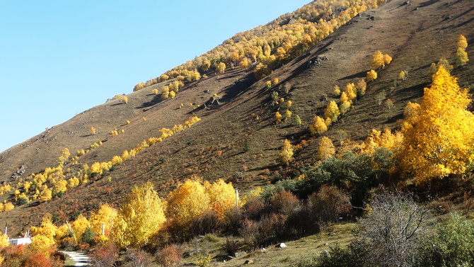 016 Золото Баксана. (Путешествия)