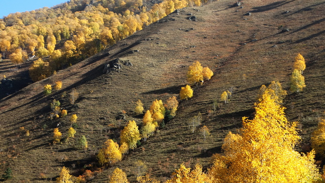 018 Золото Баксана. (Путешествия)