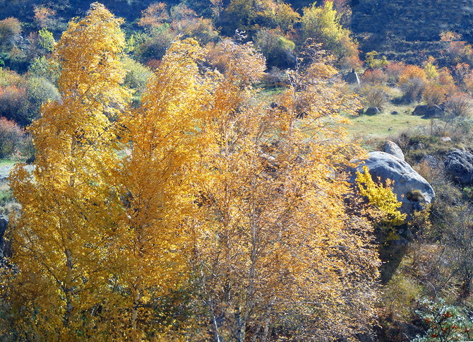 019 Золото Баксана. (Путешествия)