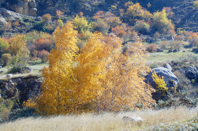 020 Золото Баксана. (Путешествия)