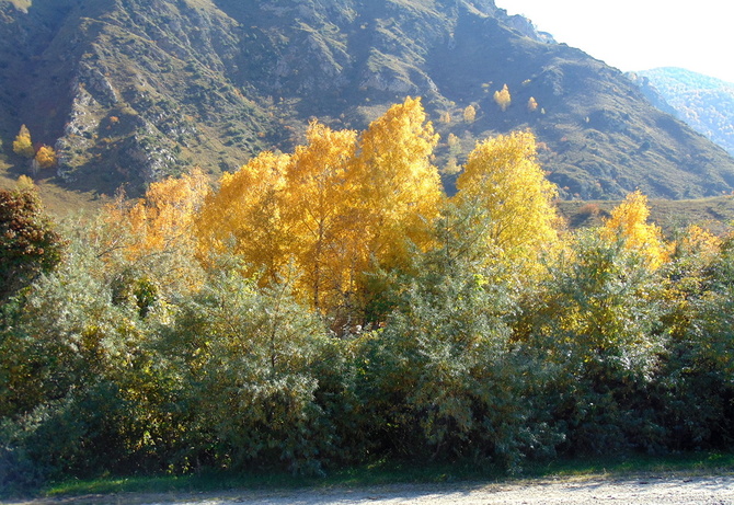 021 Золото Баксана. (Путешествия)