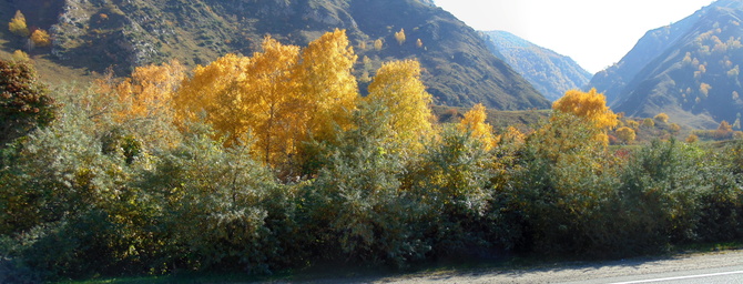 022 Золото Баксана. (Путешествия)