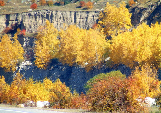 023 Золото Баксана. (Путешествия)