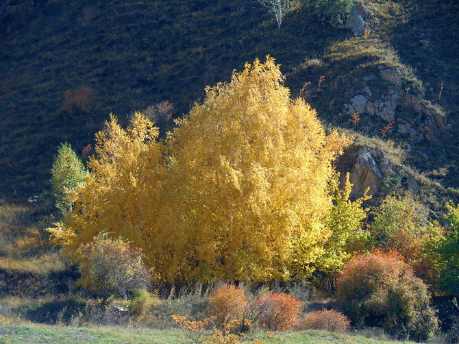 027 Золото Баксана. (Путешествия)