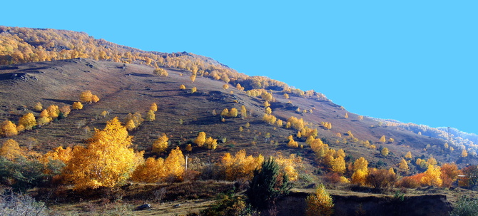 028 Золото Баксана. (Путешествия)