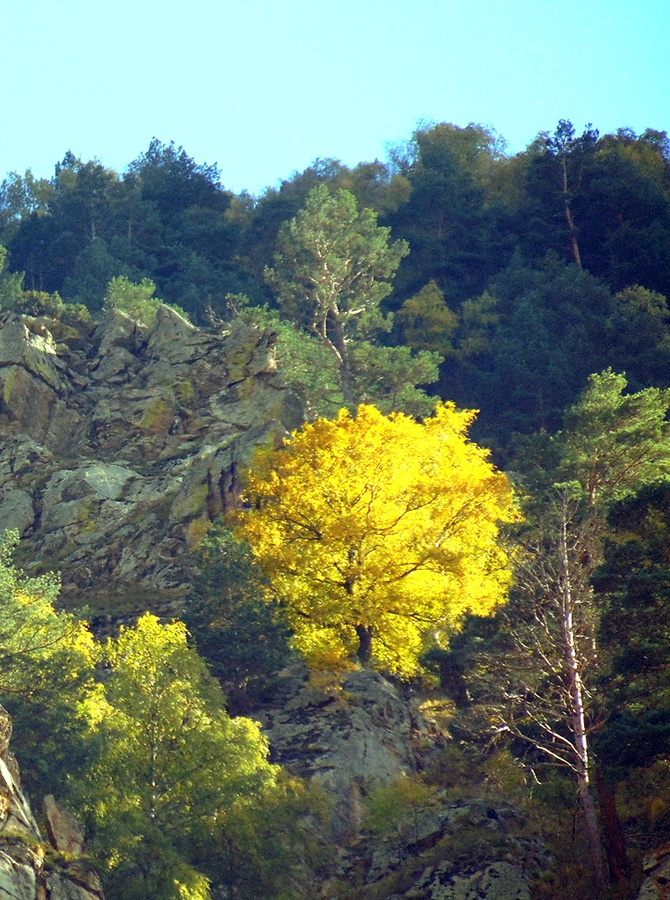 029 Золото Баксана. (Путешествия)