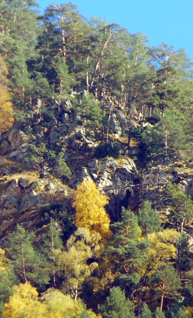 030 Золото Баксана. (Путешествия)