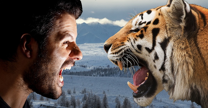 Сделка СДЕЛКА (Ски-тур)