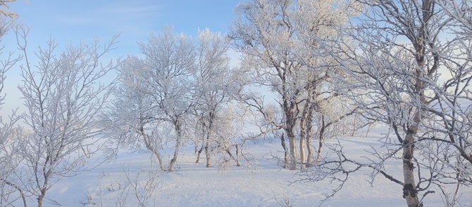 13_01 50 оттенков белого. (Путешествия)