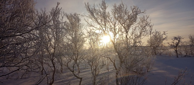 13_02 50 оттенков белого. (Путешествия)