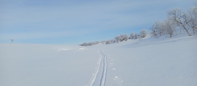 13_03 50 оттенков белого. (Путешествия)