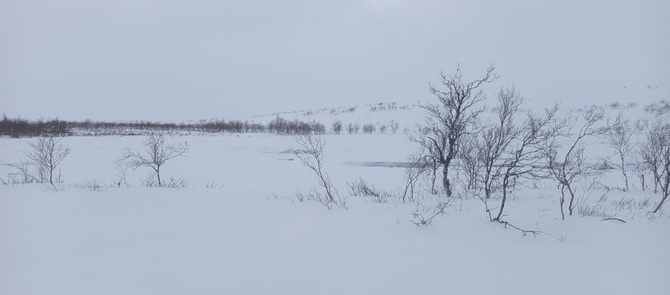 14_02 50 оттенков белого. (Путешествия)