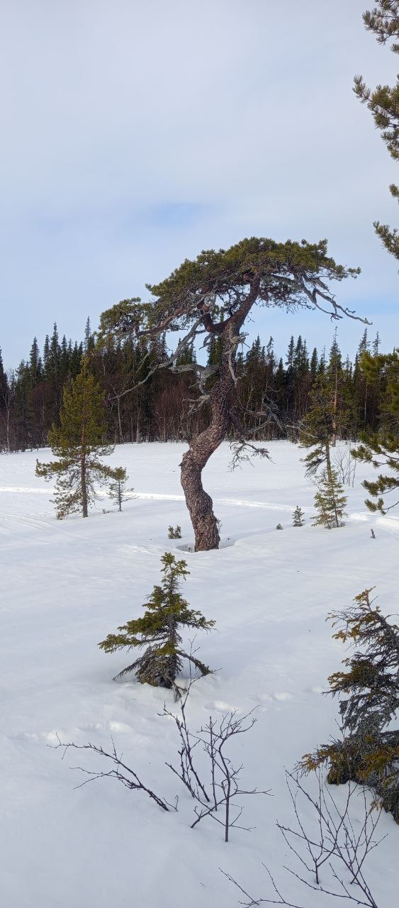 24_01 50 оттенков белого. (Путешествия)