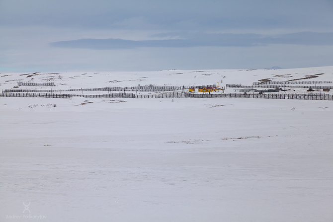 IMG_9609_1in_sign Экспресс-отдых челябинских мужчин на Полярном Урале 2025 (Туризм)