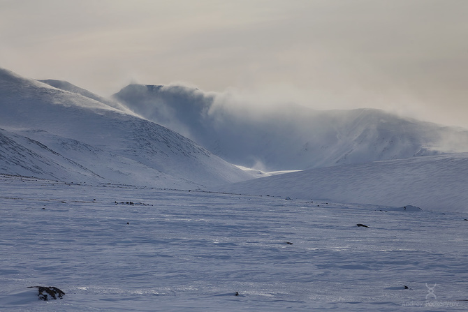 IMG_0112_1in_sign Экспресс-отдых челябинских мужчин на Полярном Урале 2025 (Туризм)
