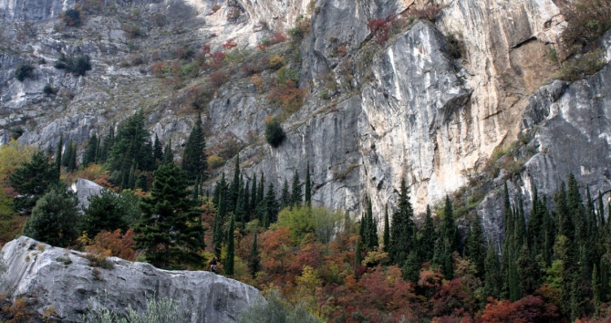 Осень, фоторафии.