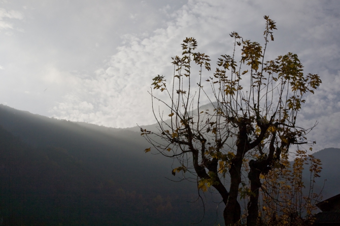 Осень. Италия. Арко (фото)