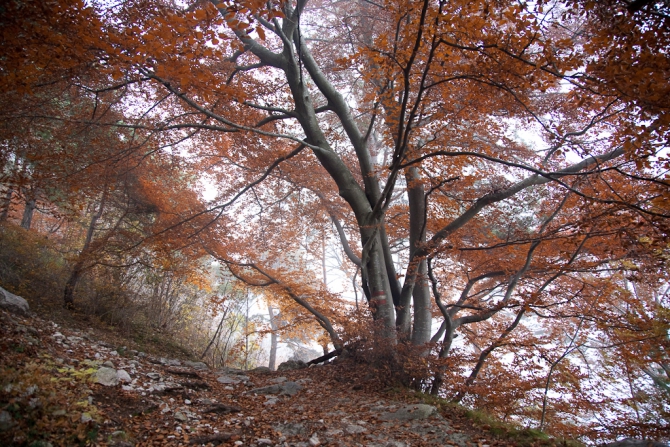 Осень. Италия. Арко (фото)