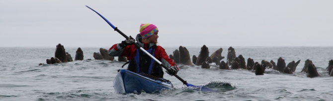 Пресс-релиз экспедиции «Pacific Rising Expedition» (Путешествия, камчатка, каякинг, морской каякинг, sea kayaking)