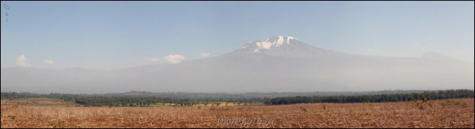 Мечты о Килиманджаро, ставшие реальностью... (Горный туризм, kilimanjaro, machame, мачаме, меру, шира, кибо, танзания, африка, восхождение, путешествия, горы, альпинизм, фото, фотография, photo)