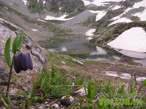 Кавказ.  Голубые Озера Архыза. 18-30 июня 2010 года (Горный туризм, природа, активный отдых, красота., озёра, горы, поход, палатка)