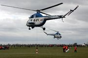Кубок Гран-при по вертолетному спорту (Воздух, вертолетные соревнования)