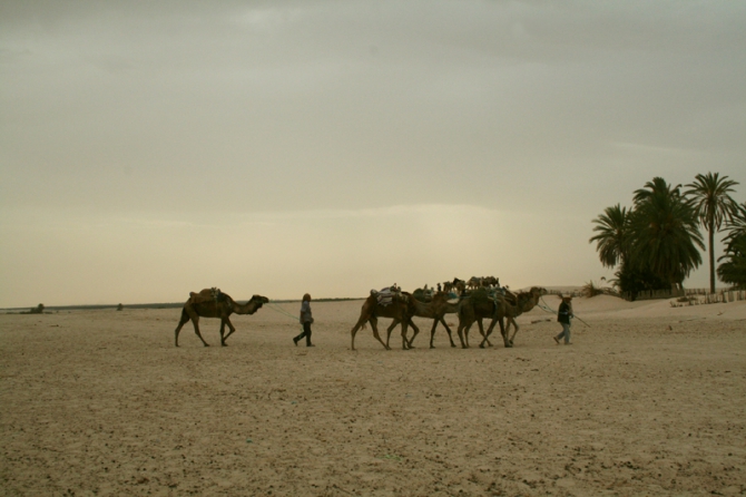Тунис 2010 (Путешествия, соль, песок)