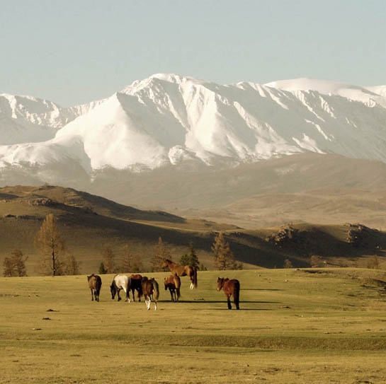 Открытая экспедиция Алтае-саянское кольцо- 2010 (Путешествия, алтай, саяны, хакасия, горная шория)