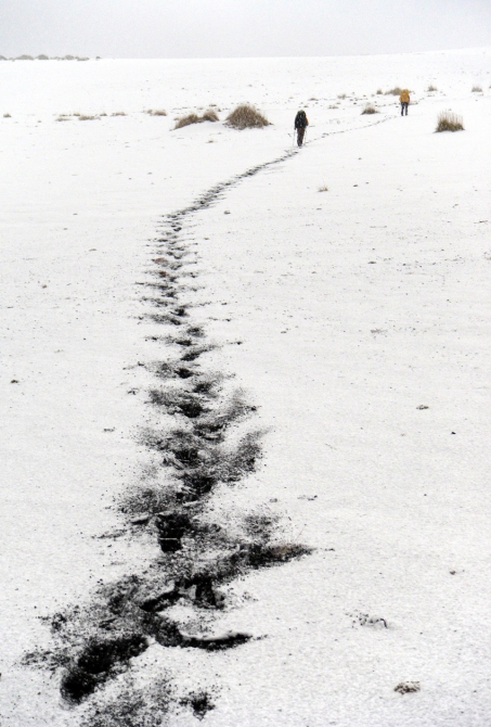 Камчатская осень 2010 или "Зимний поход без лыж" (Путешествия, камчатка, ключевская группа вулканов, мерзлота)