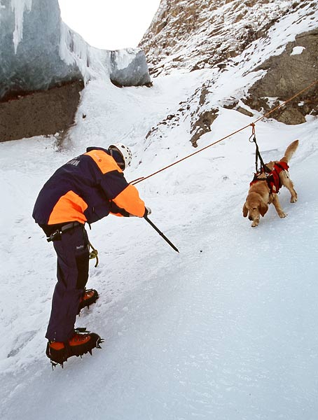 Лавинные собаки. Несколько фотографий (спасатели, алтай, горы, лавины)