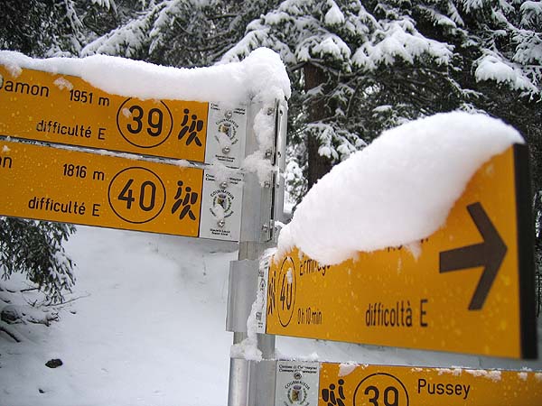 Новогоднее приключение наших в Европе. Снег есть, однако. Но высокоооо. (Горные лыжи/Сноуборд, горные лыжи, курмайер, путешествие)