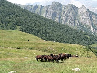 Трехдневное путешествие в районе хребта Адыр-Су (Горный туризм, приэльбрусье, кавказ, горный туризм)