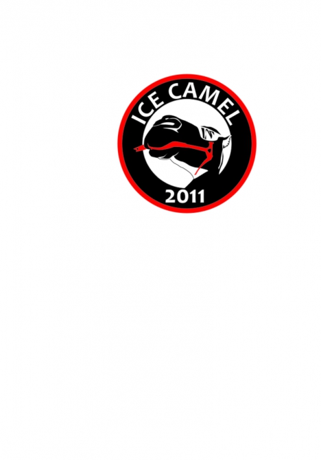 Чемпионат Самарской области по ледолазанию «ICE CAMEL 2011»