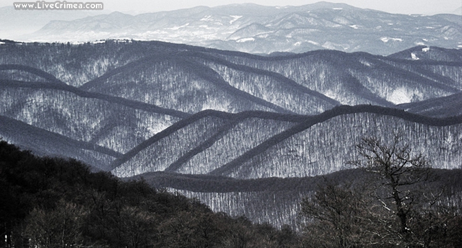 Карпаты Боржава - фото (Горный туризм, снегоступы, зима)