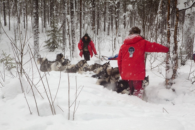 экспедиция Arctic Circle Experience 66° 33' 39" (Путешествия)