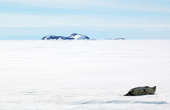 Южное заполярье-1 (Путешествия, мерзлота, антарктида)
