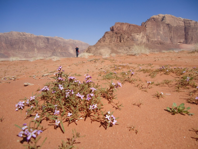 Вади Рам – пустыня, горы, люди. (Альпинизм, jordan women)