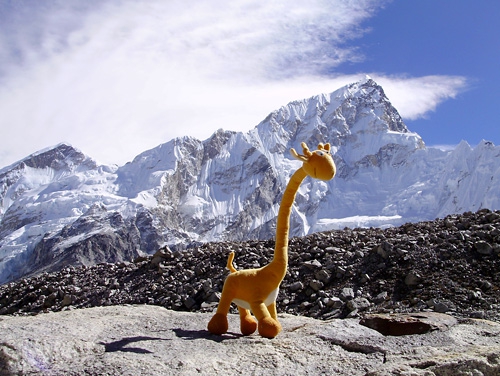 40 дней по Гималаям с жирафой. Фрагменты. Перевал Тиши Лаптсе (5750 м, Горный туризм, nepal, гималаи, tashi laptse)