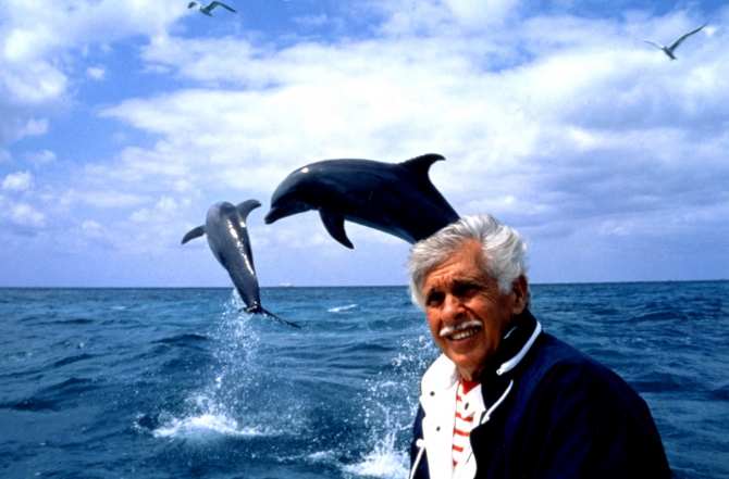 Человек – дельфин (Вода, апноэ, jacques mayol, голубая бездна, жак майоль, дельфины, фри-дайвинг, рекорды)