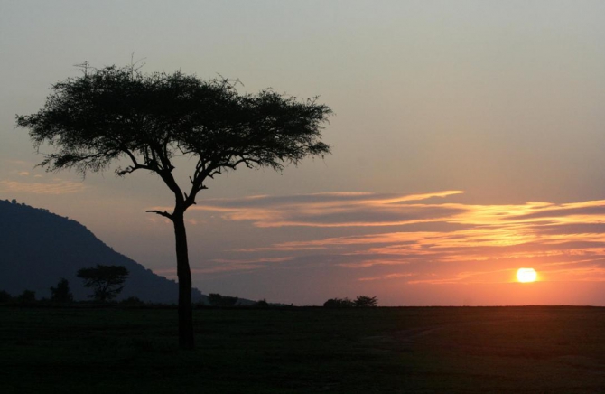 Гора Кения (Путешествие в колыбель Обамы - 4, Горный туризм, абердаре, батиан, африка)