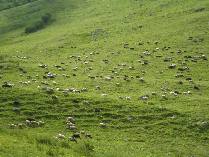 Редкопосещаемые ущелья Кавказа. Хазни. Фотозарисовка 2011года. (Альпинизм, альпинизм, ущелье хазни, путешествие)