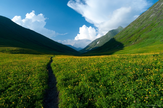 Поход по Кавказскому биосферному заповеднику (Горный туризм, сахарный псеашхо, биосферный заповедник, красная поляна)