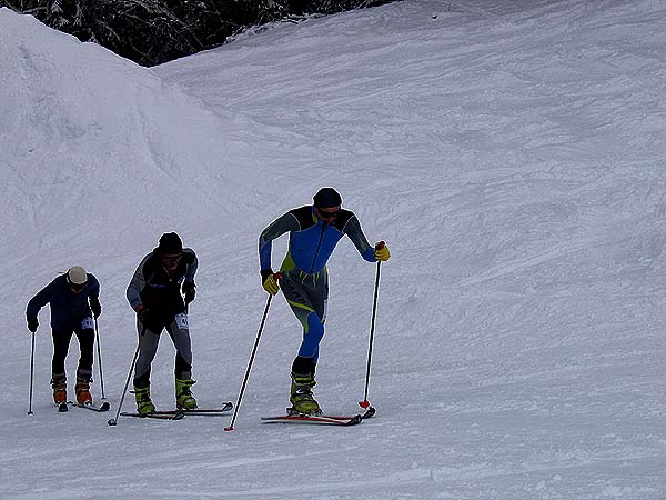 Чемпионат Европы по ски-альпинизму. Морзин, Франция. Фото с вертикальной гонки. (Ски-тур, ски-тур)