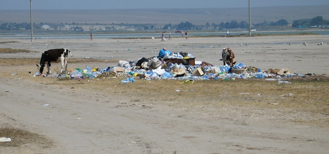 Тарханкут без мусора! Экологическая акция. (Путешествия, экология, черное море, крым)