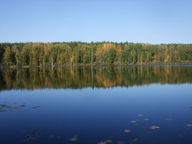 Живопись Сентября (озеро, сентябрь, осень, пейзаж)